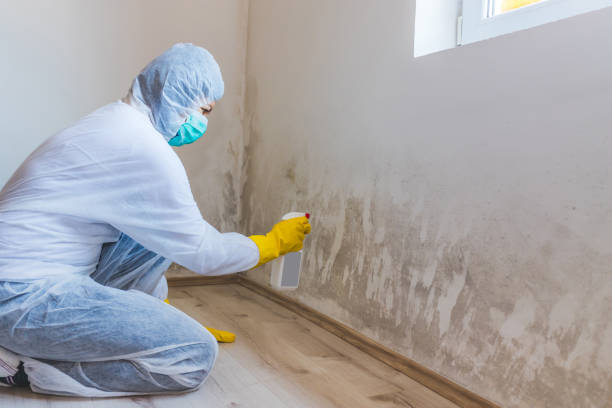 Licensed Mold Remediation service in Rutherford, NJ - 24 Hour Mold Removal