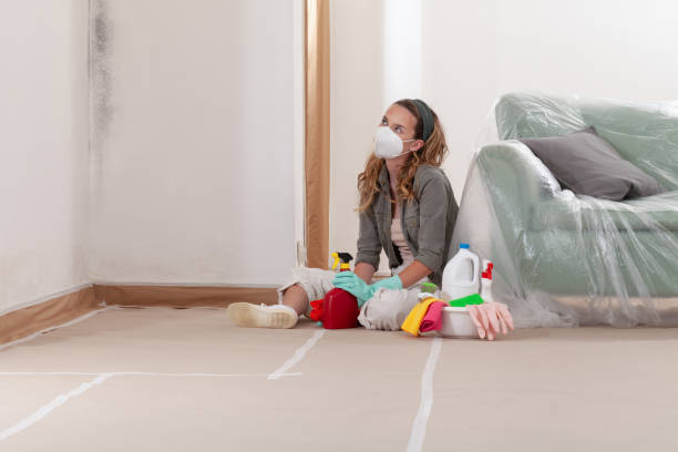 Reliable Mold Remediation contractor in Rutherford, NJ by 24 Hour Mold Removal